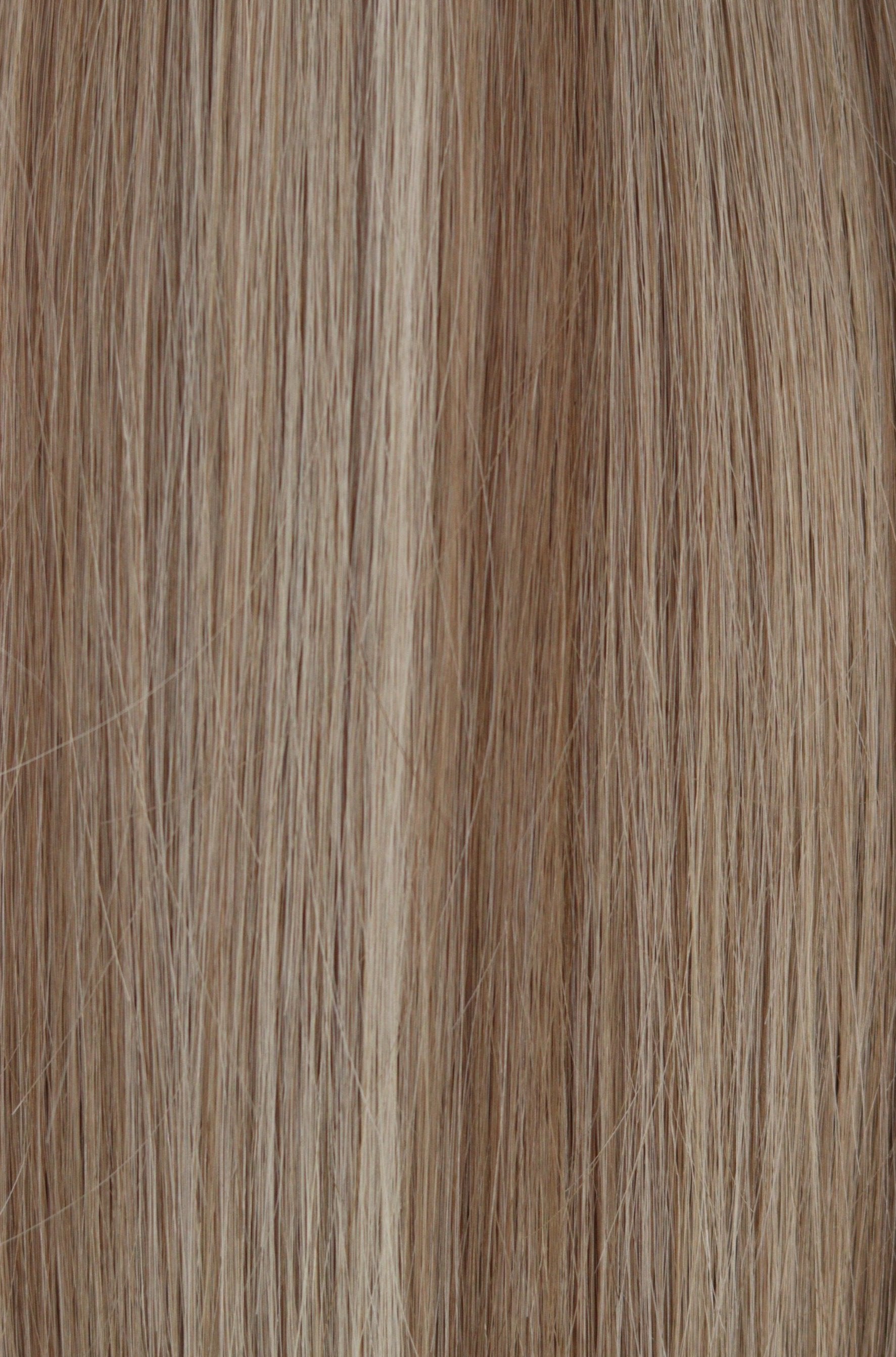 BRONDE MANE TIPS